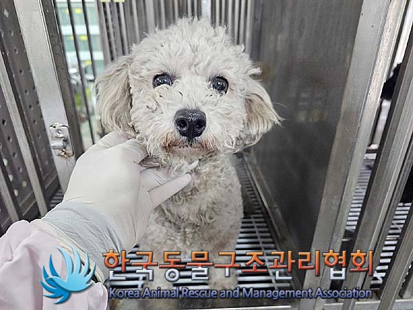 한국동물구조관리협회_411307202400051
